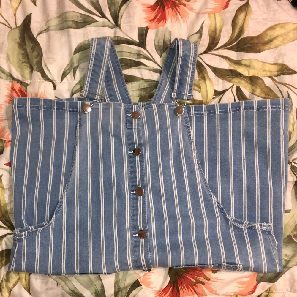 Stripped Overall Skirt